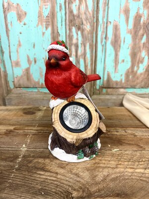 Christmas Cardinal Spot Light